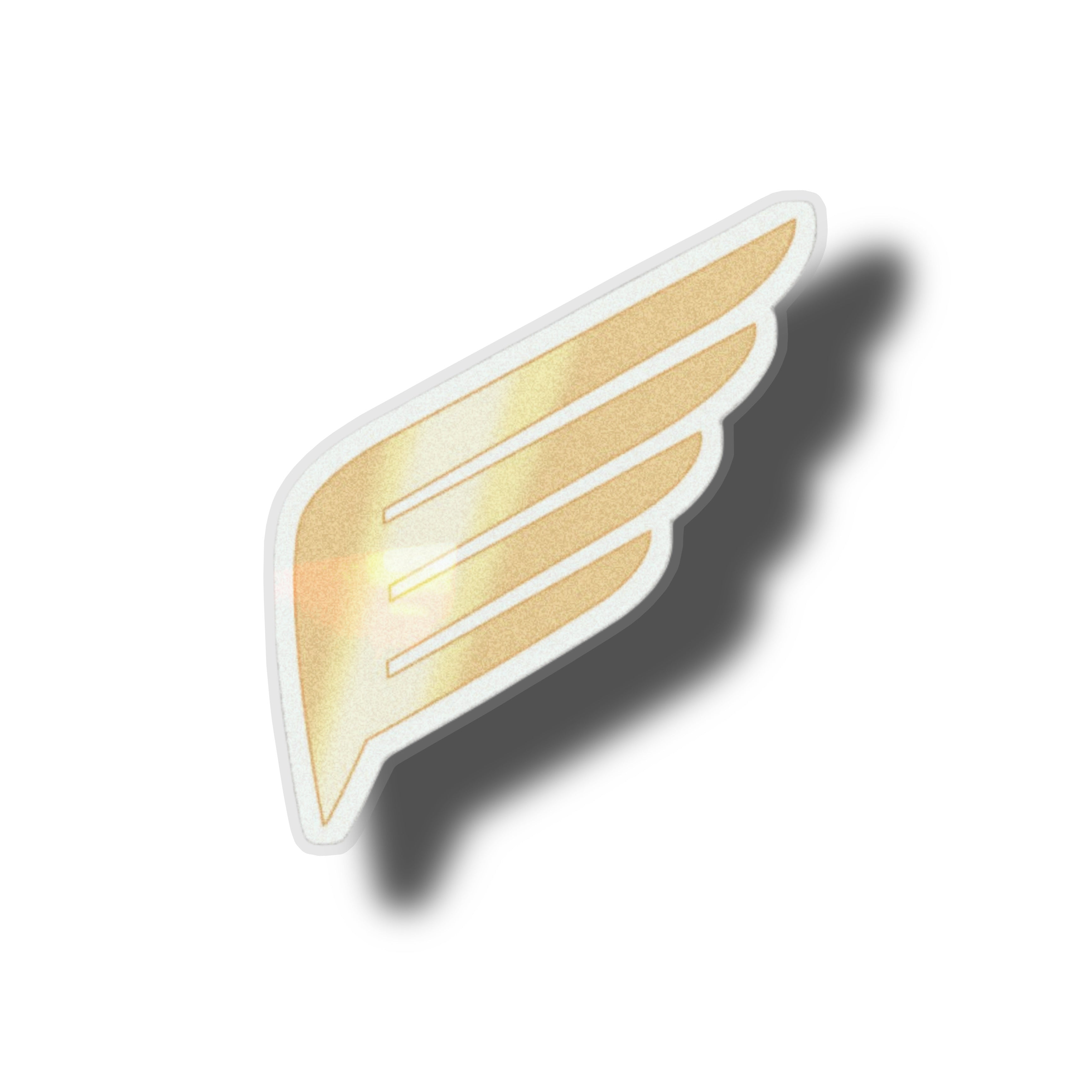 Speed wings